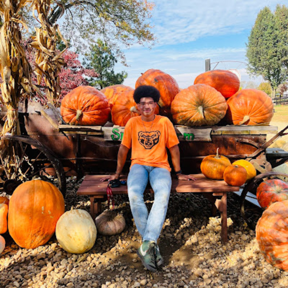 Meet your Posher, Hansel alex